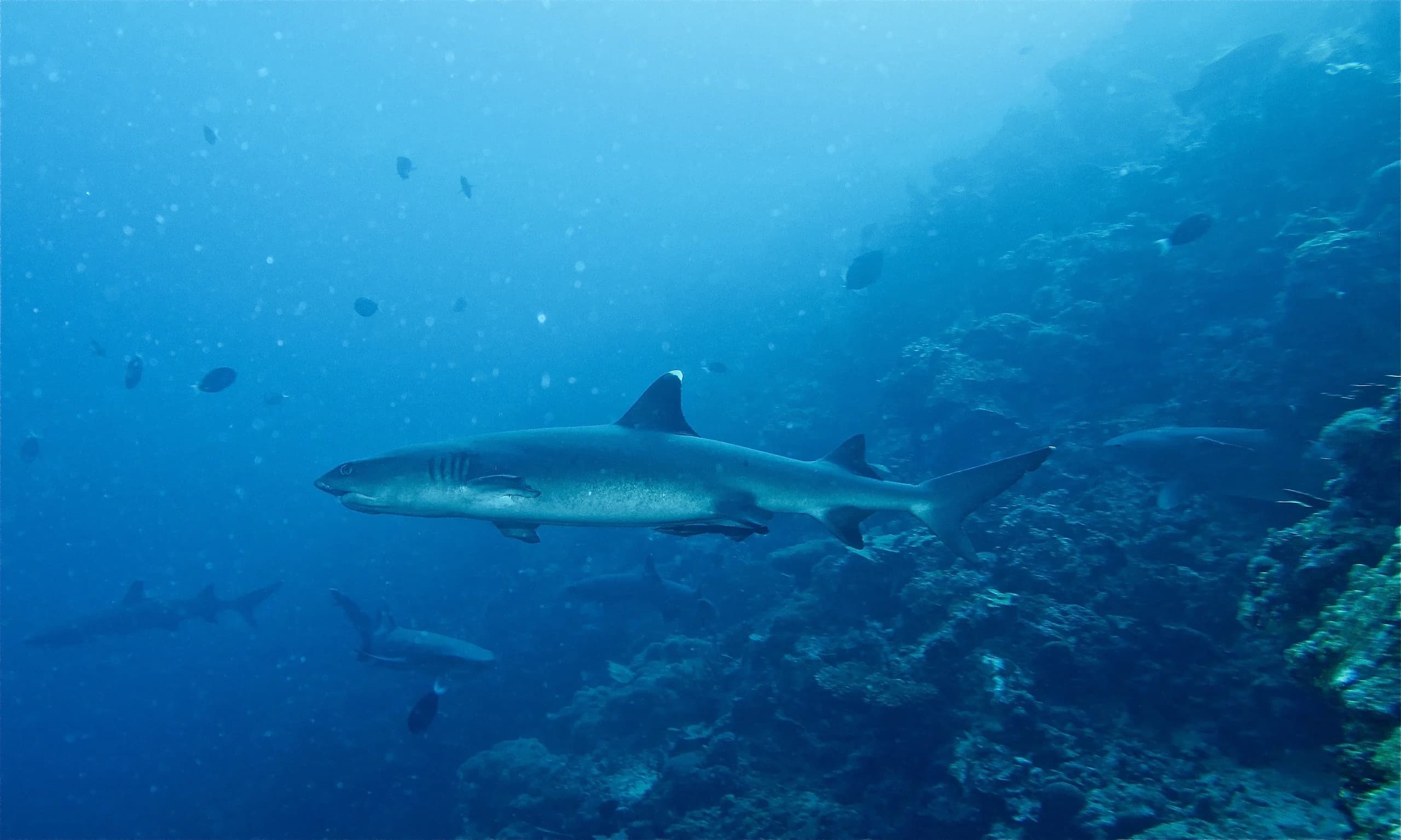 Sipadan, Malaysia