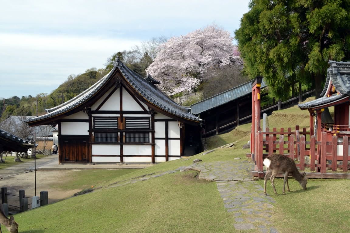 Nara