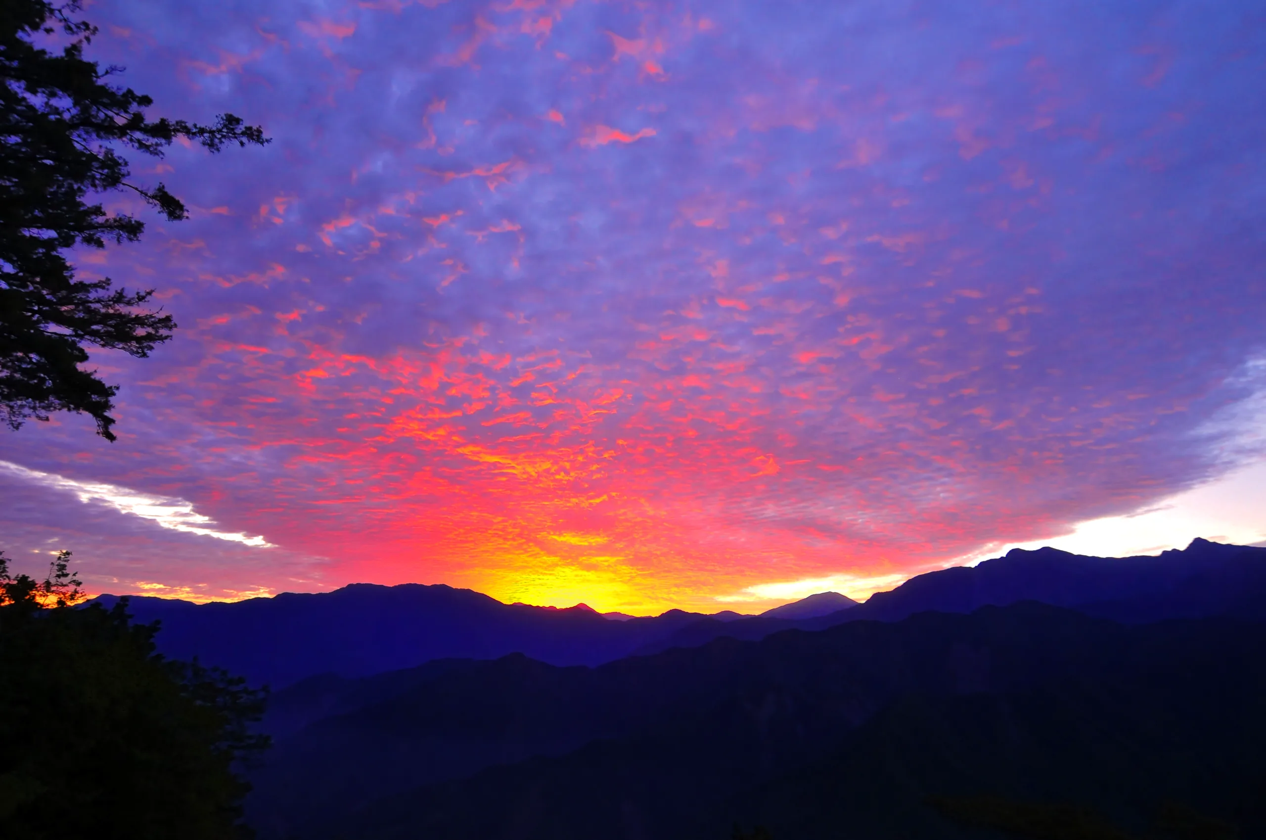 Alishan, Taiwan