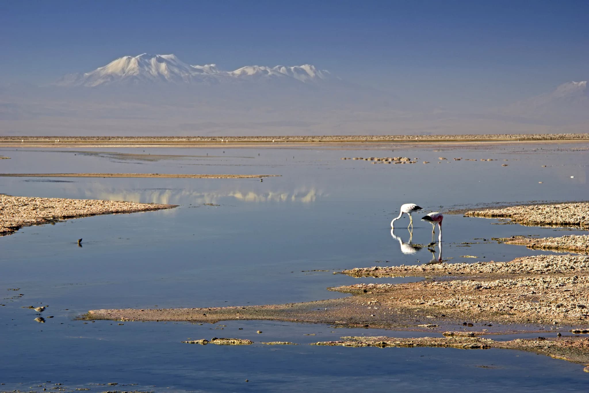 Atacama Desert, Chile