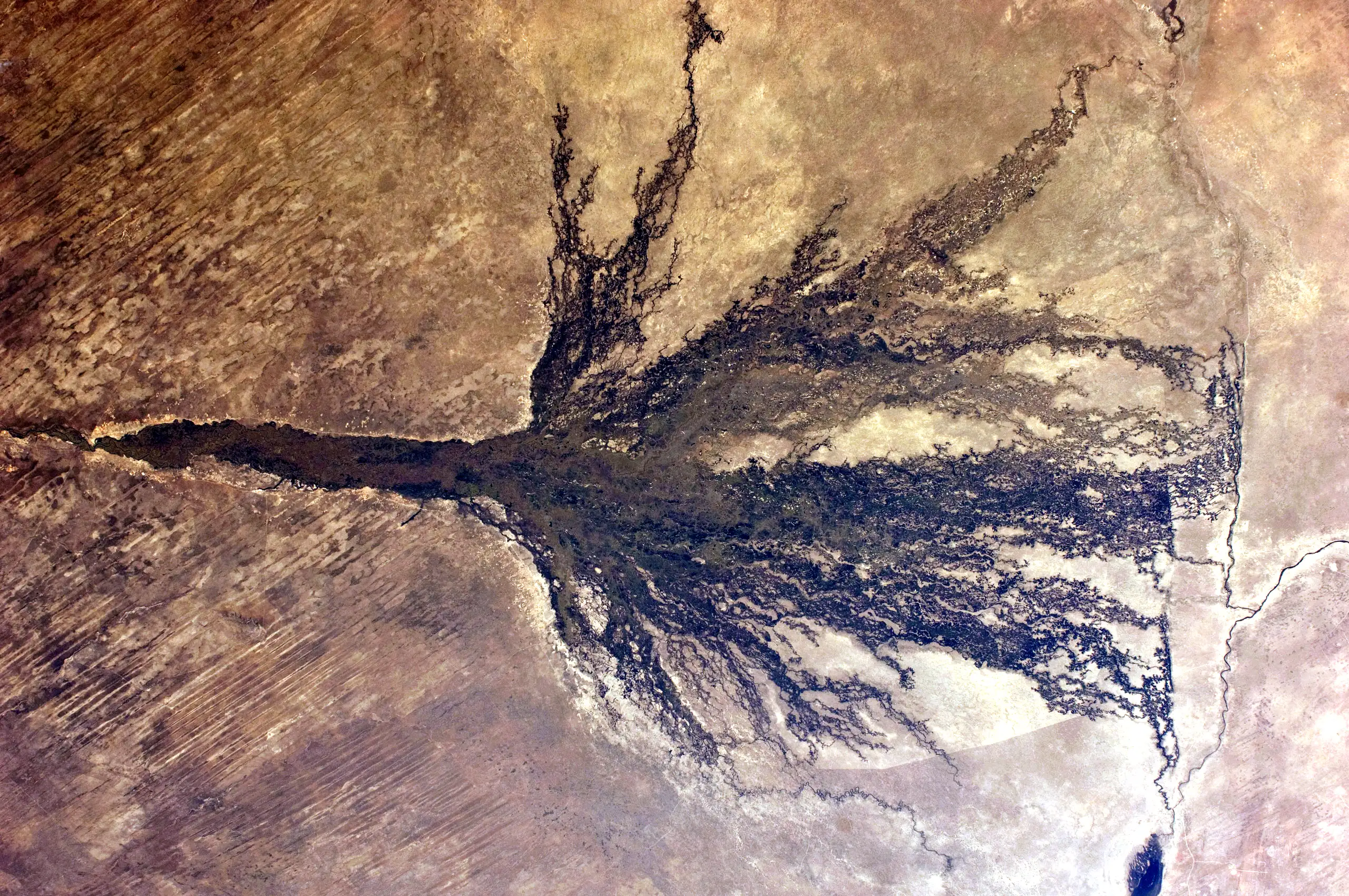 Okavango Delta, Botswana