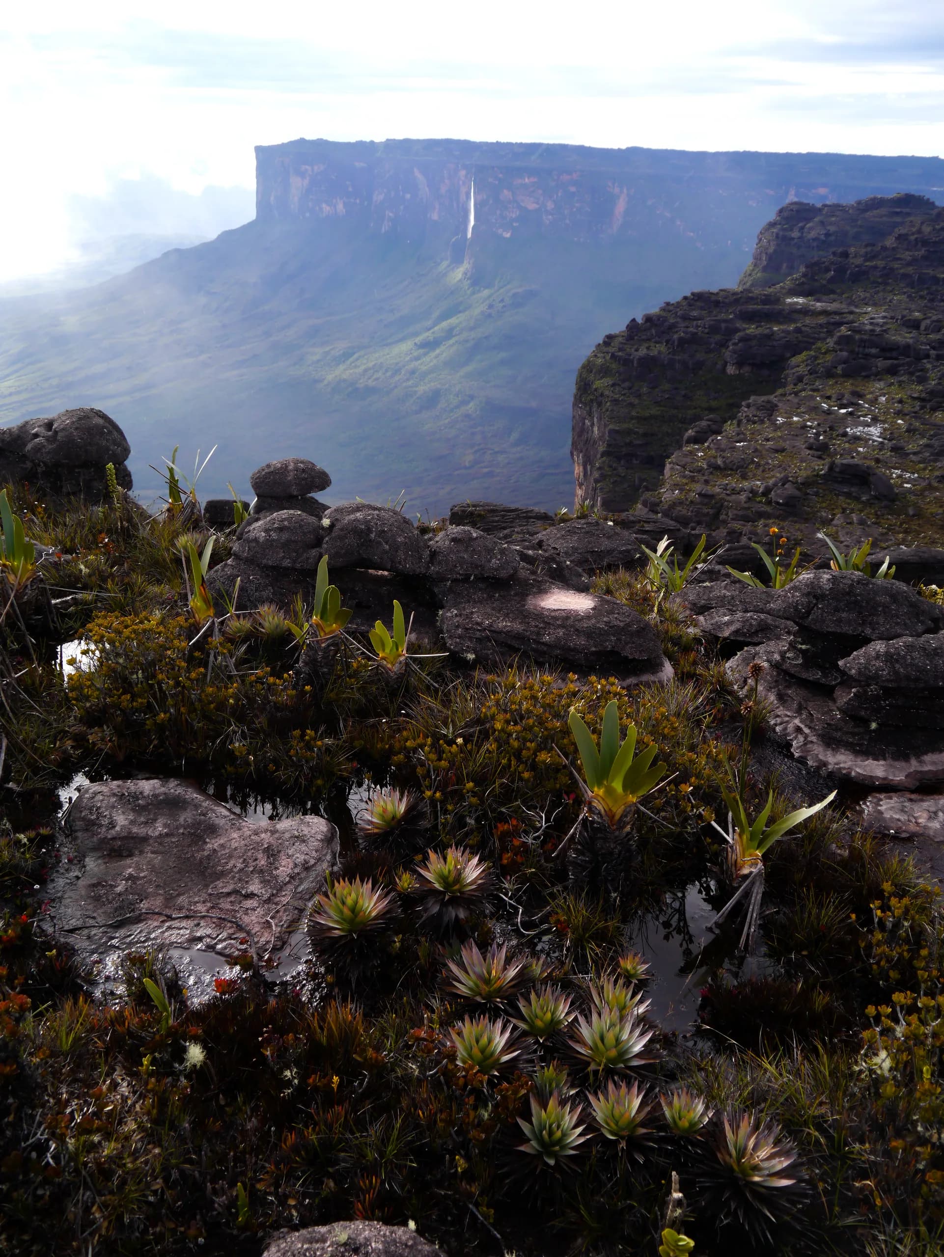 Mount Roraima, Venezuela