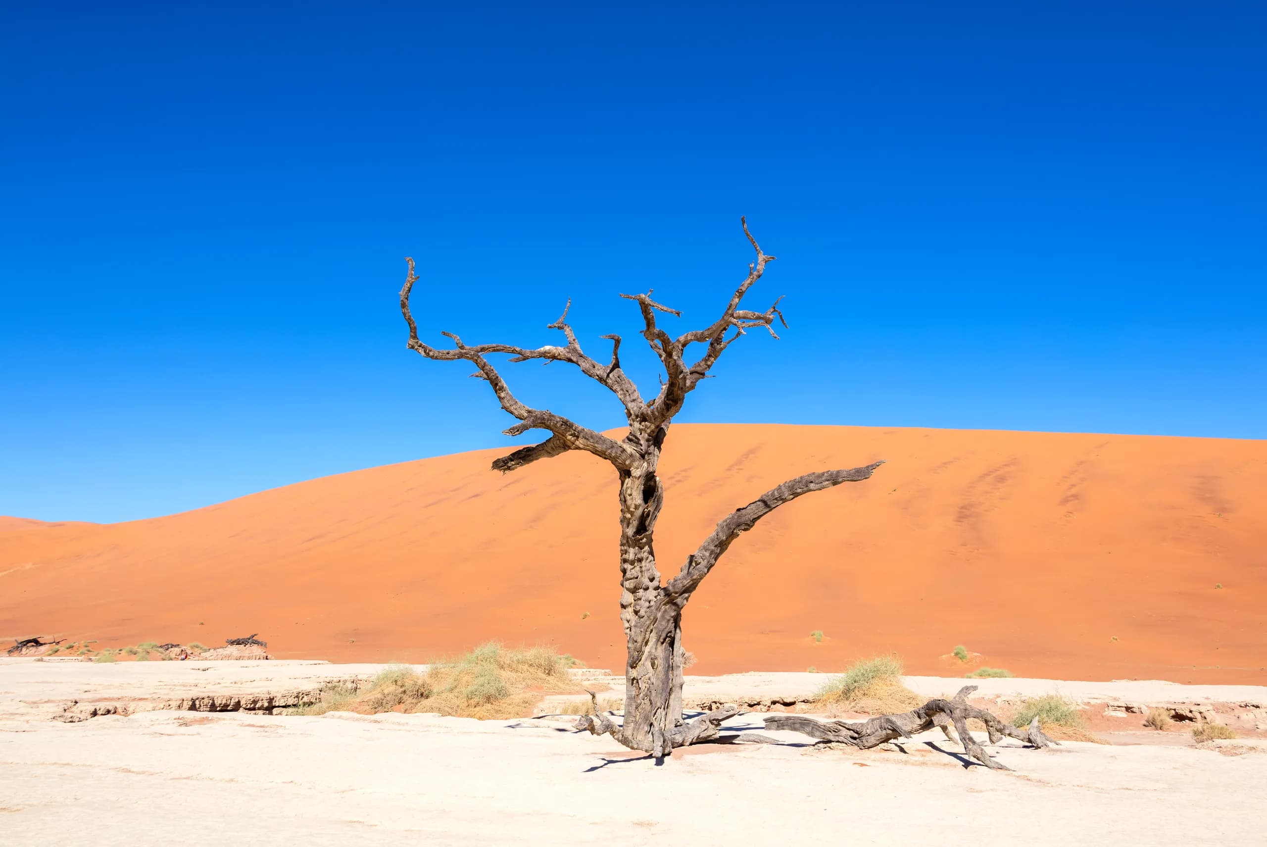 Deadvlei, Namibia