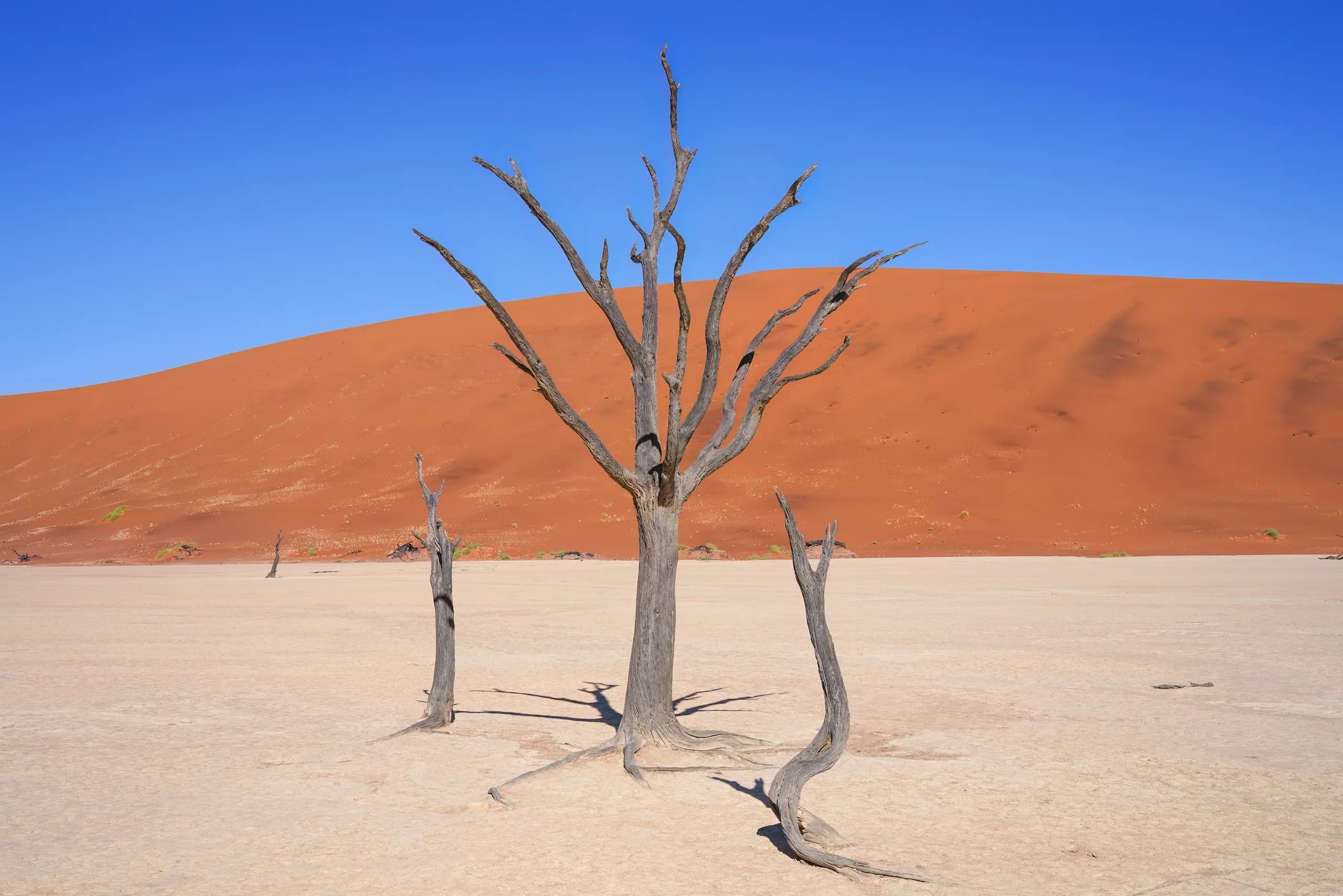 Deadvlei, Namibia