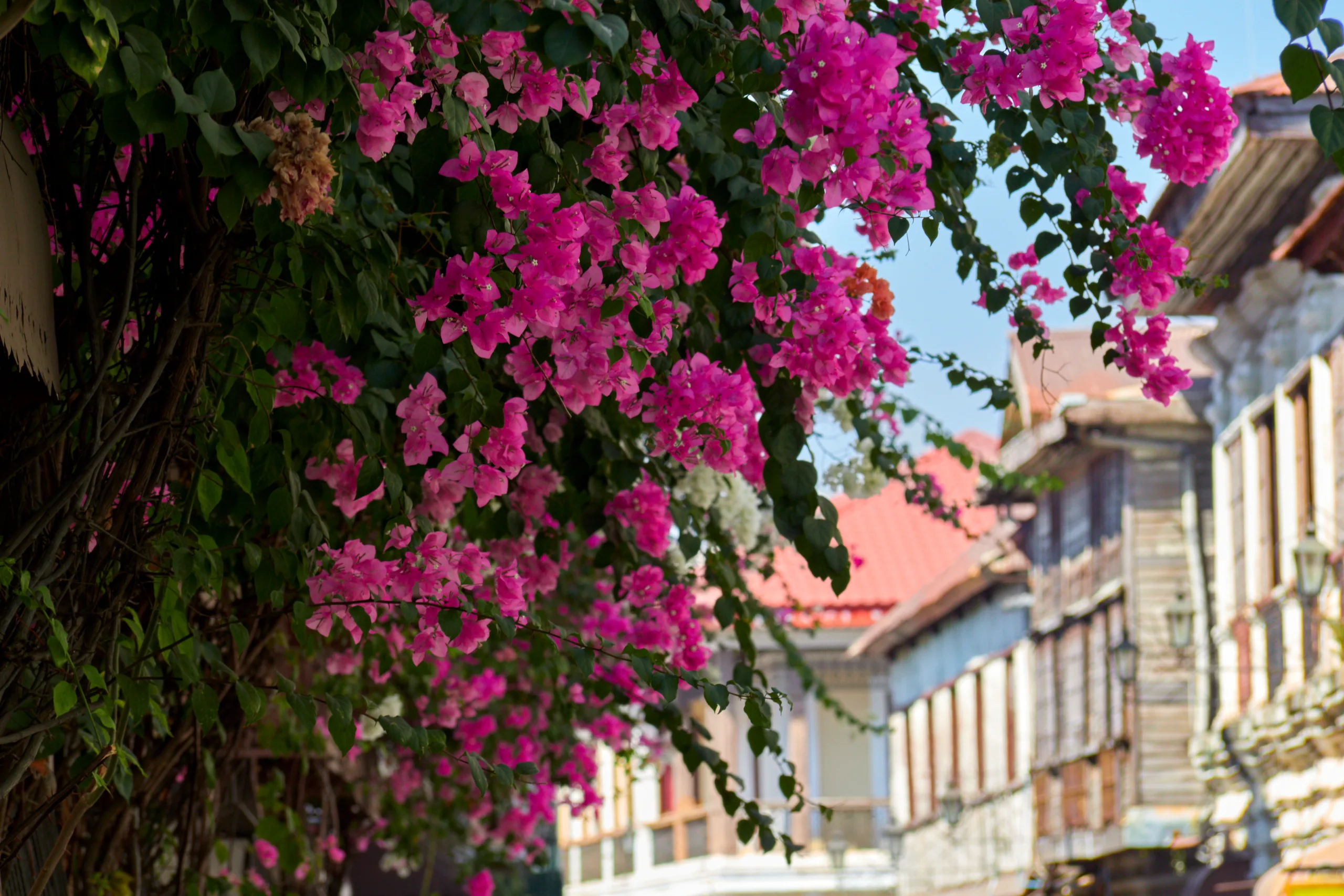 Vigan, Philippines