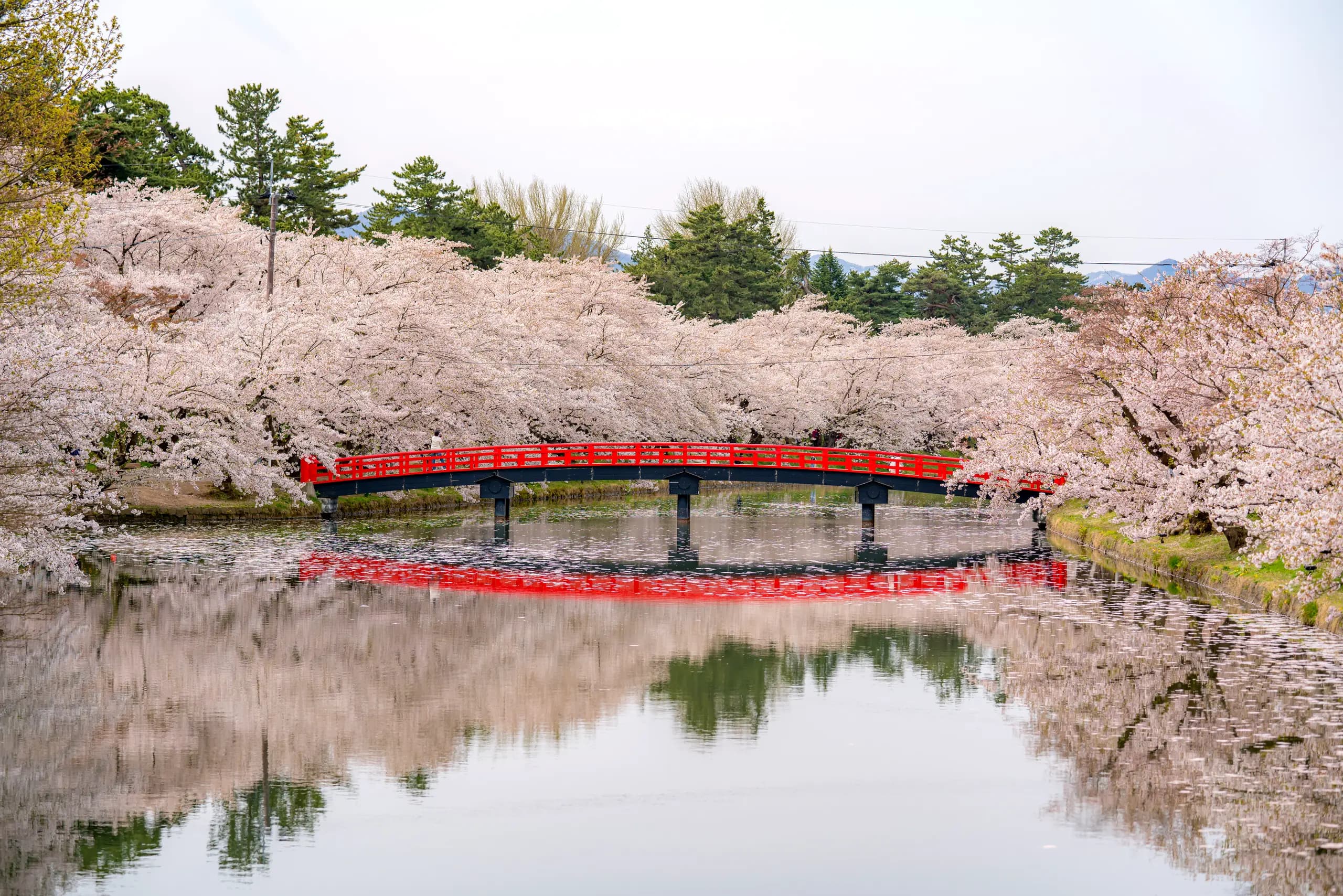 Hirosaki, Japan
